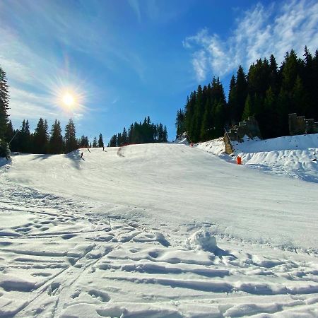 Papa Moose Pamporovo Apartman Kültér fotó