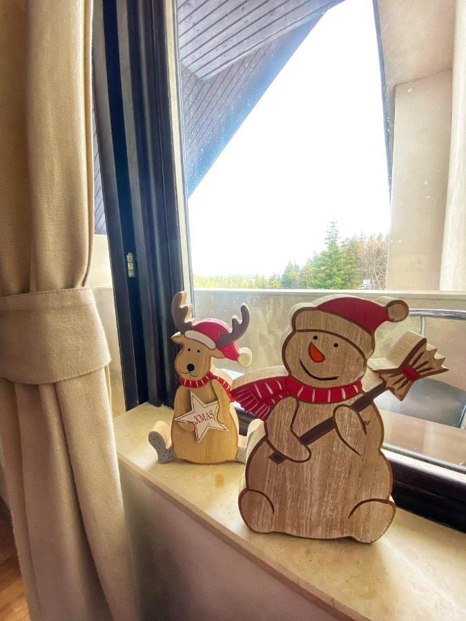 Papa Moose Pamporovo Apartman Kültér fotó